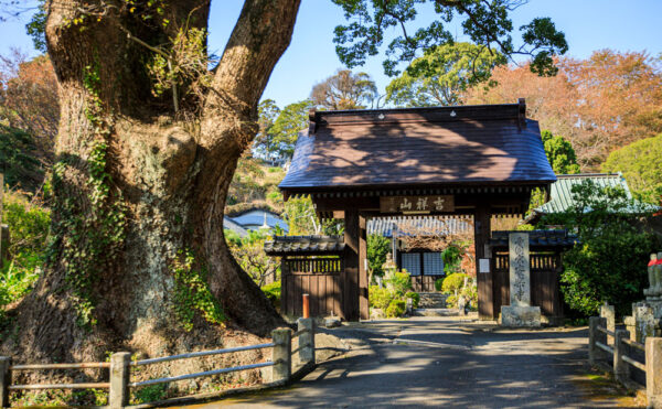 安楽寺まぶ湯