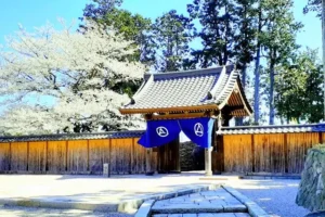 小田原文化財団 江之浦測候所