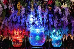 アートアクアリウム美術館 GINZA