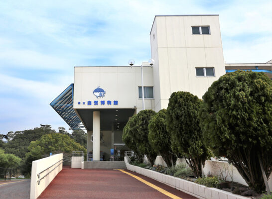 和歌山県立自然博物館