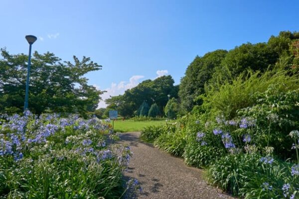 弁天ふれあいの森公園