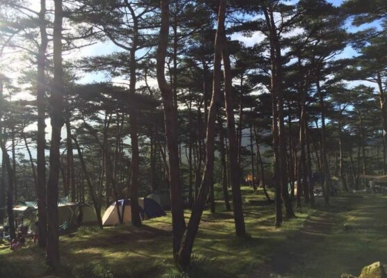 えびの高原キャンプ村