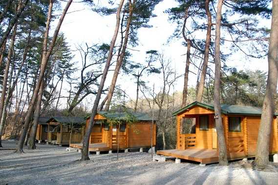 オートリゾートパーク・ビッグランド