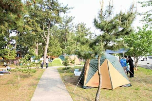 大淀ふれあいキャンプ場