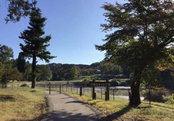 石川県森林公園三国山キャンプ場