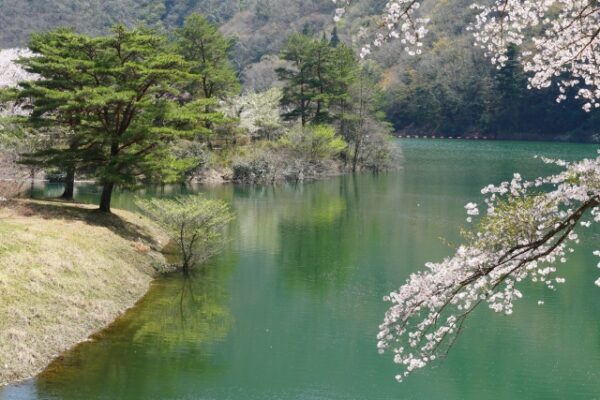 大野ダム公園