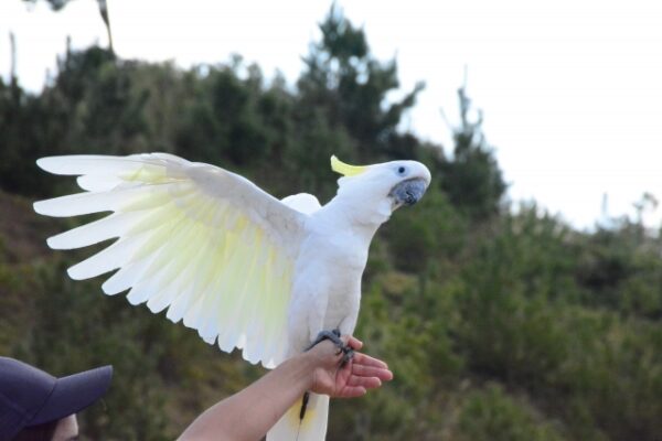 ネオパークオキナワ