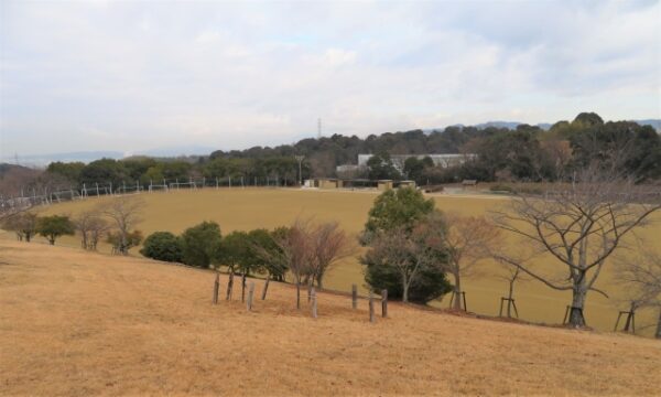 京都府立山城総合運動公園 太陽が丘
