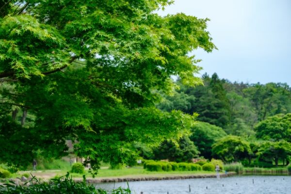 横浜市こども自然公園