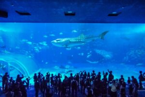 沖縄美ら海水族館