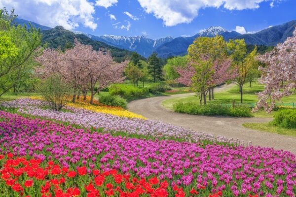 国営アルプスあづみの公園（大町・松川地区）