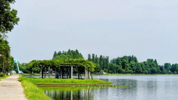 水元公園