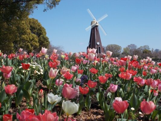 都立浮間公園