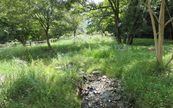 湯町ホタル公園