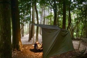 Aoshima Firepit Forest