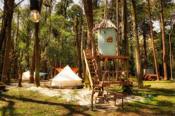 Camping GREEN（キャンピンググリーン）