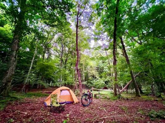 FLORA Campsite in the Natural Garden