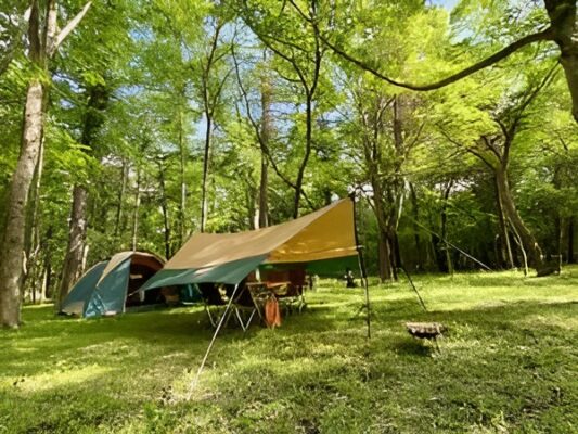 Lake Lodge YAMANAKA
