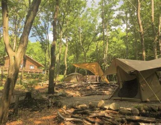 camp×woods