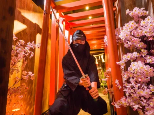 Ninja Trick House in Tokyo