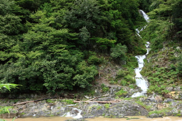 蓮如の滝