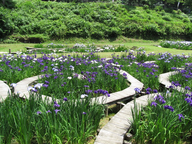 県民公園 頼成の森