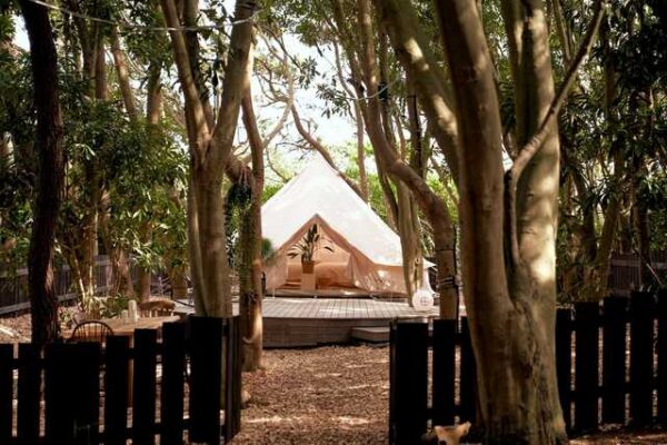 small planet CAMP&GRILL