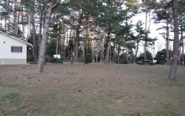 御崎野営場