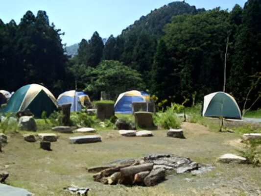森と暮らすどんぐり倶楽部