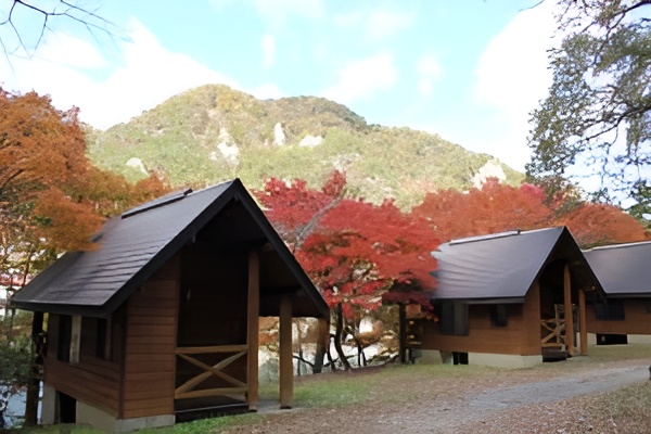 矢祭山友情の森