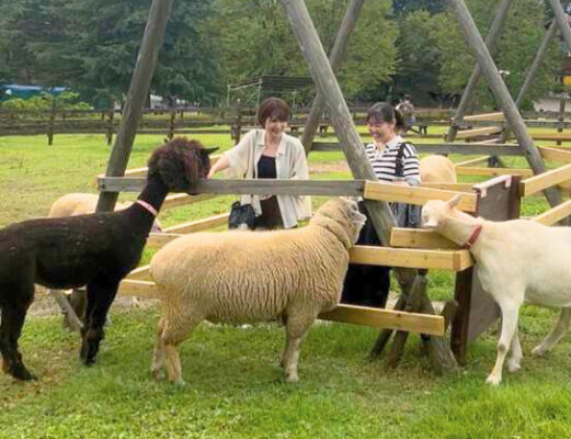 那須高原りんどう湖ファミリー牧場