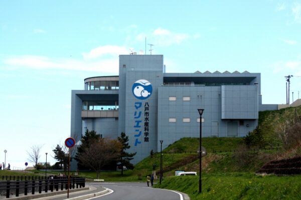 八戸市水産科学館マリエント