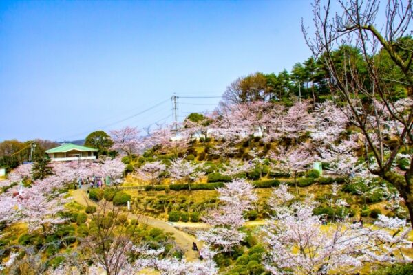 千光寺公園