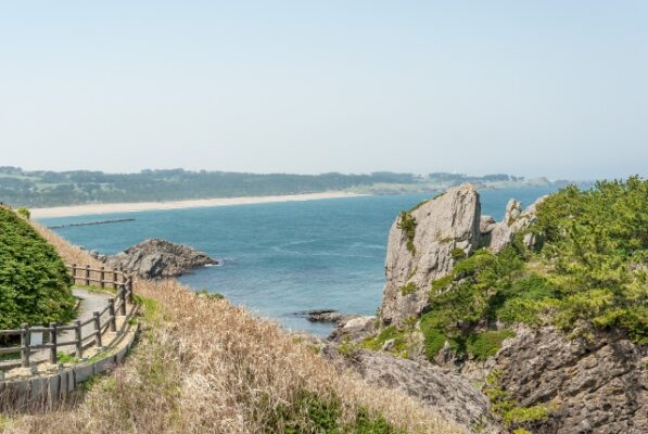 種差海岸