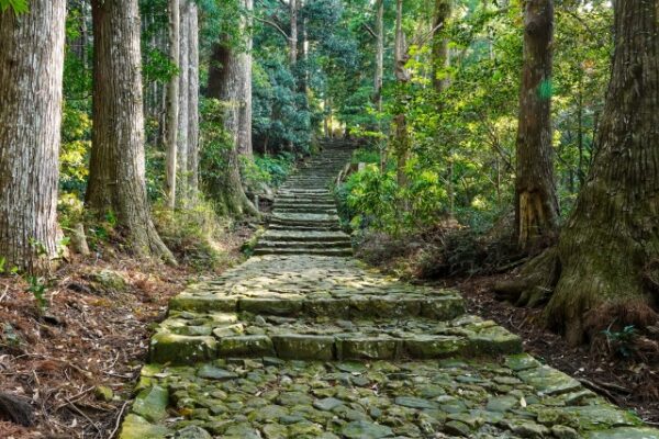 熊野古道大門坂