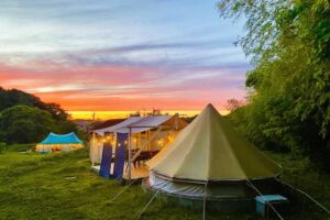 CAMP LOVE