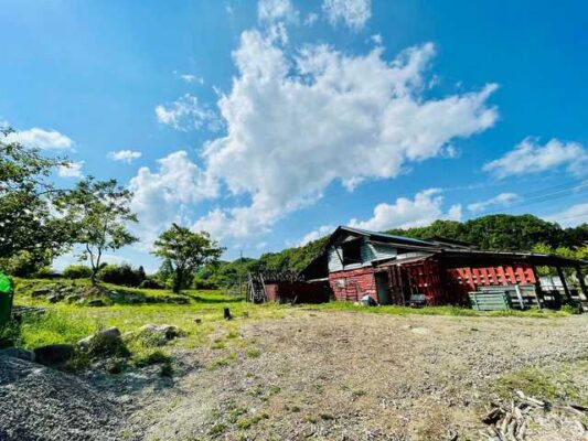WILD.ZAO.CAMP