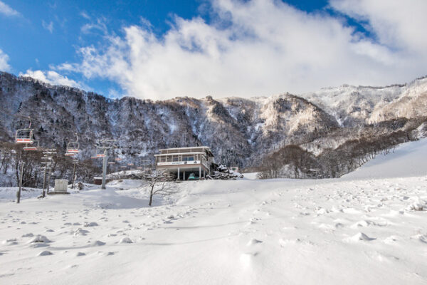 氷ノ山国際スキー場