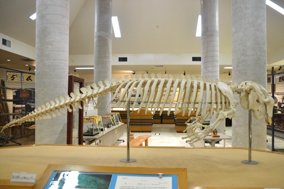 東村立山と水の生活博物館