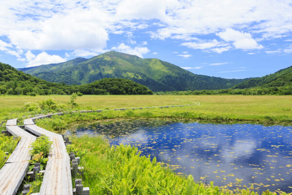 尾瀬国立公園