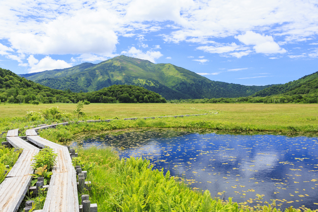 尾瀬国立公園