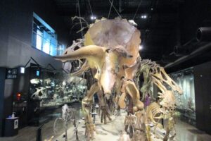 御船町恐竜博物館