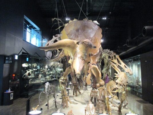 御船町恐竜博物館