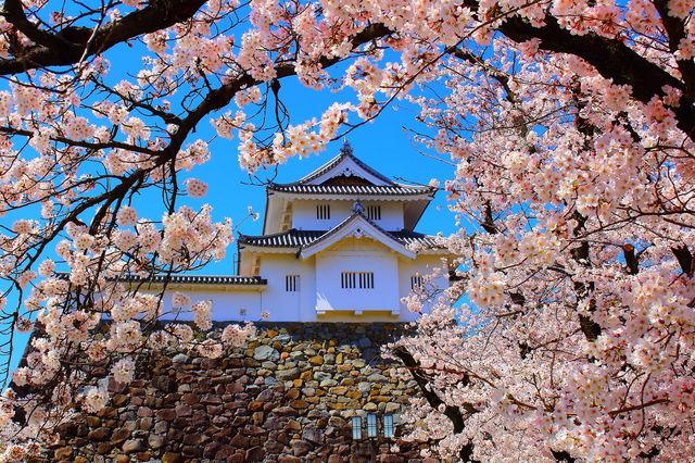 甲府城(舞鶴城公園)