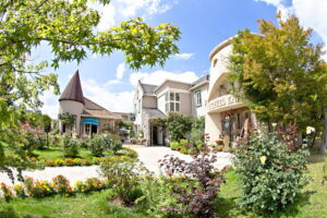 河口湖木ノ花美術館