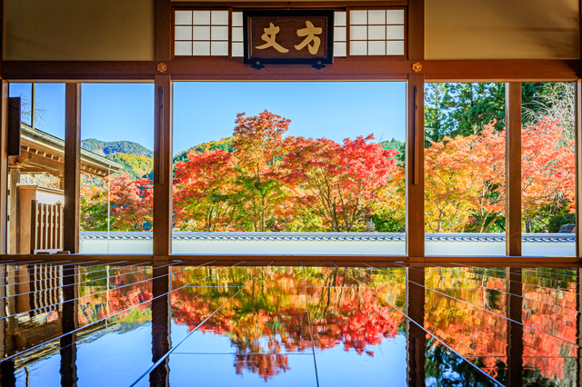 宝徳寺