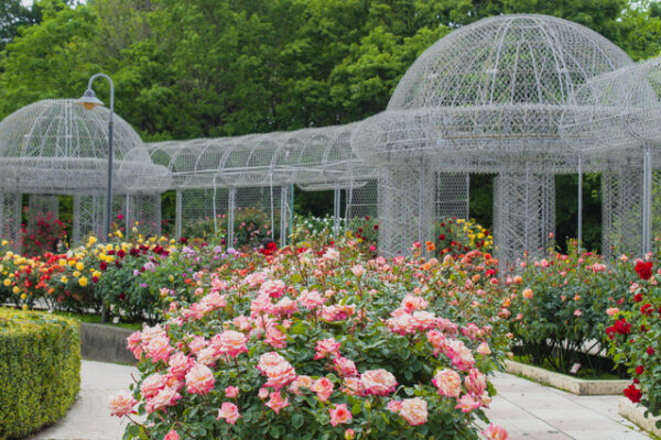 小田原フラワーガーデン