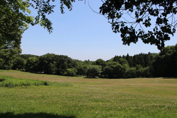 うつのみや文化の森