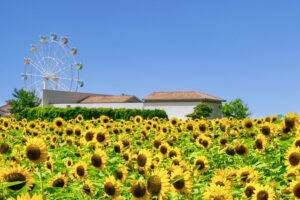 長井海の手公園 ソレイユの丘
