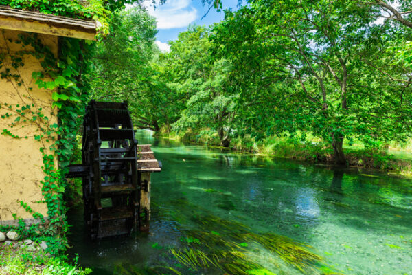 大王わさび農場
